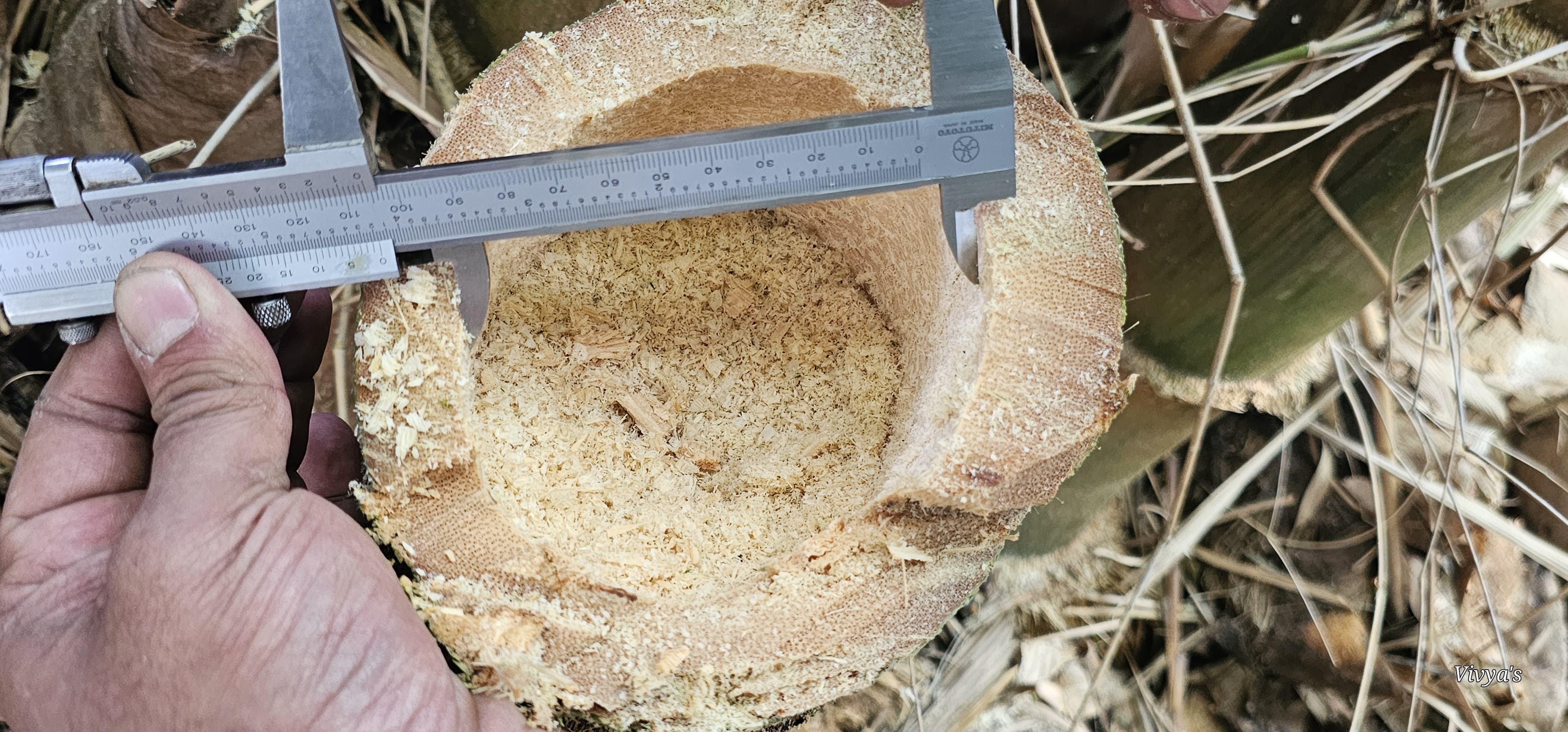 Bamboo Pole Inner Diameter